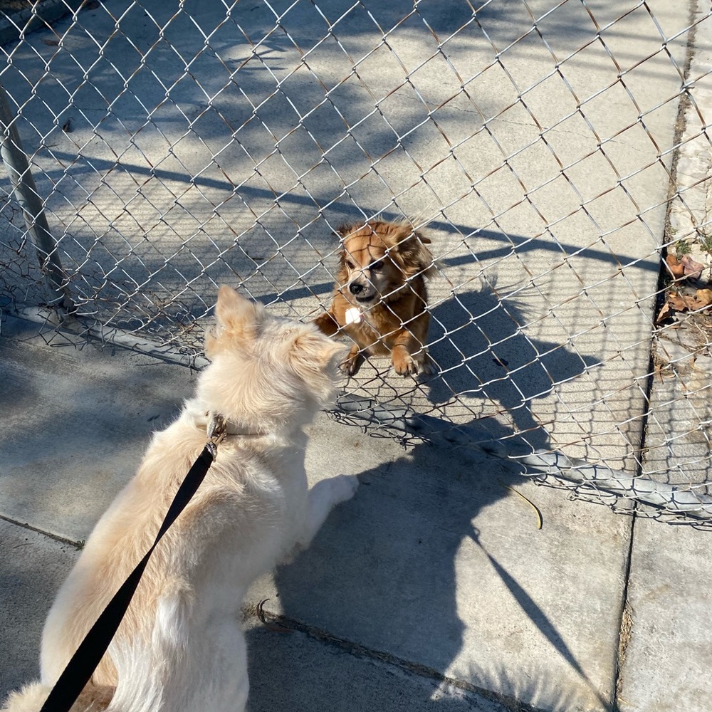 Meet your Posher, Thu